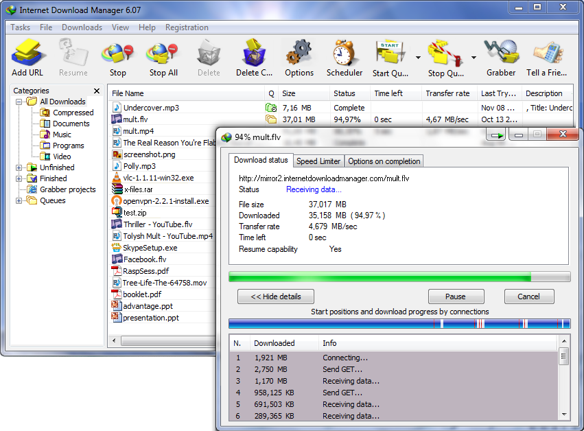 Internet Download Manager 10 PC (Lifetime)