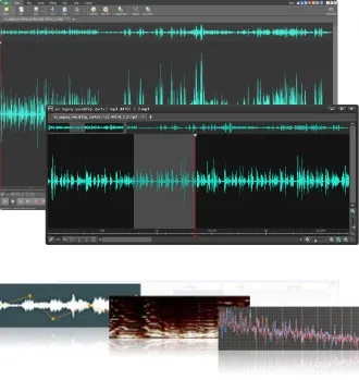 WavePad Audio Editing (Master's Edition)