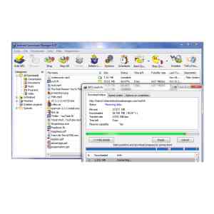 Internet Download Manager (Lifetime)