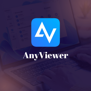 AnyViewer Enterprise